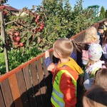 Dzieci patrza na drzewa jabłoni.JPG