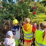 Dzieci podziwiają rosące drzewa owocowe.JPG