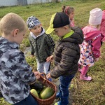 Dzieci zbierają warzywa do koszyka.JPG