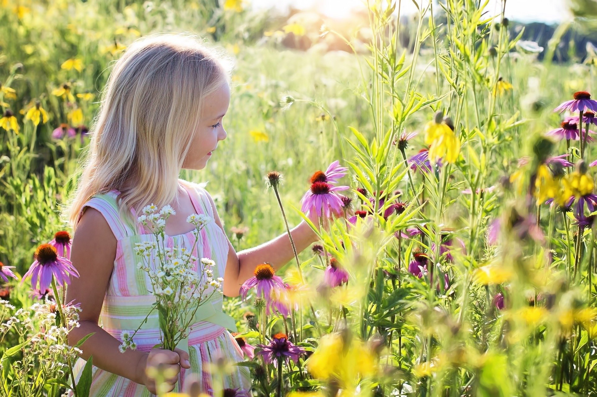 mała dziewczynka wśród kwiatów.jpg
