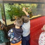 Dzieci oglądają rybki w akwarium.JPG