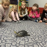 Dzieci przyglądają się żółwikowi.JPG