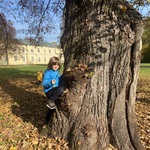 Chłopiec stoi przy drzewie.JPG
