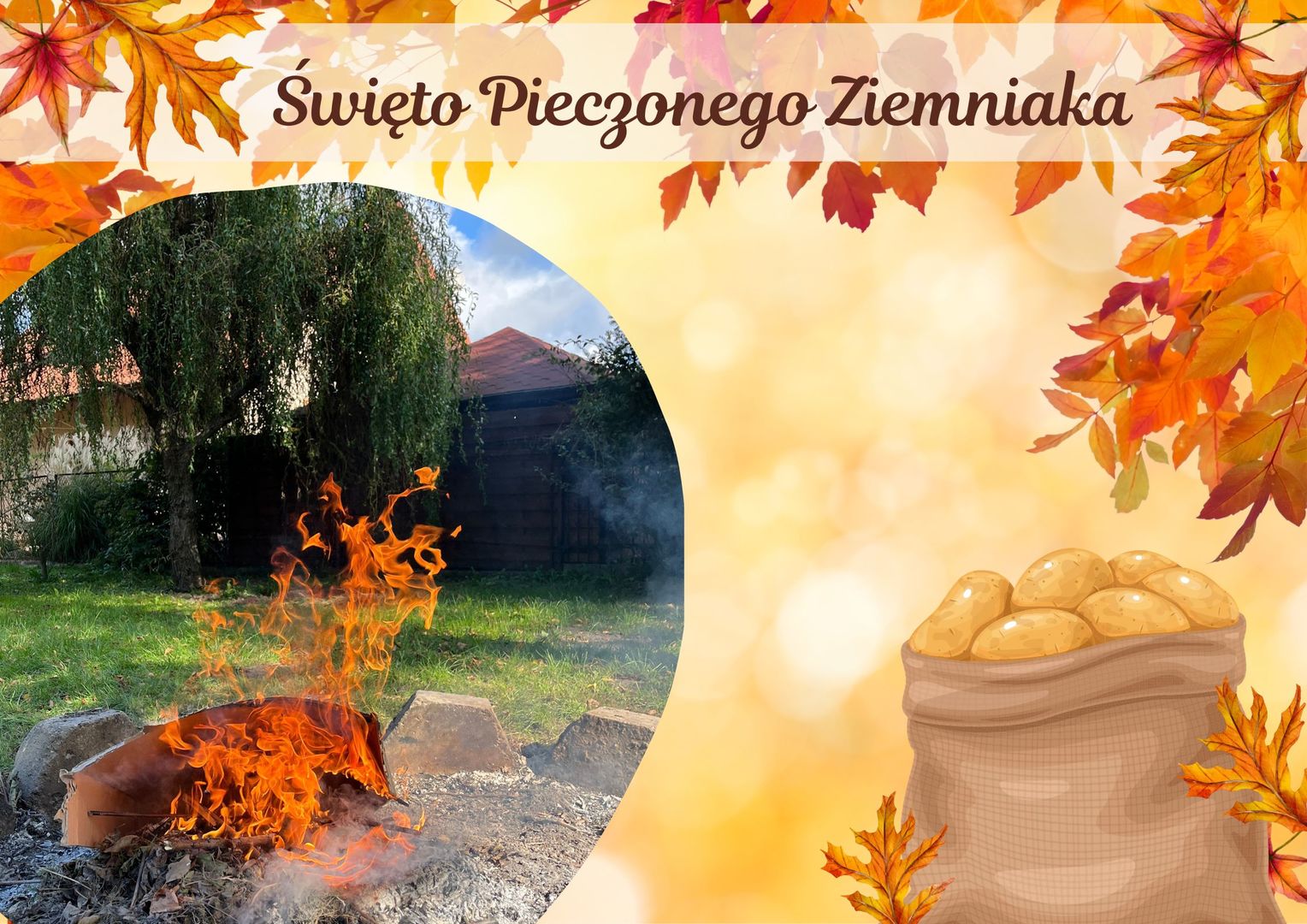Orange Yellow Brown Lovely Autumn to Remember Photo Collage.jpg